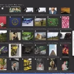 Buy Sell Proxima Photo Manager Pro Cheap Price Complete Series