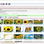 Buy Sell Bulk Image Downloader Cheap Price Complete Series